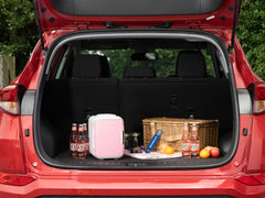 4L Mini Fridge - Subcold Classic4