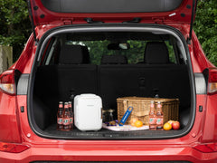 4L Mini Fridge - Subcold Classic4